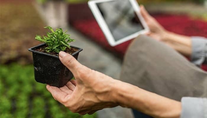 Maximise productivity with Landscaping Software