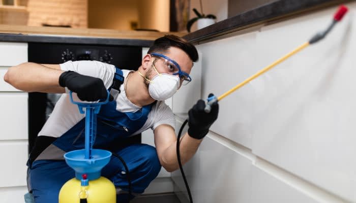 Pest Control: How to survive your slow season