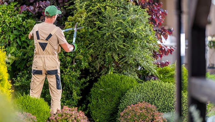 5 ways to grow your landscaping business